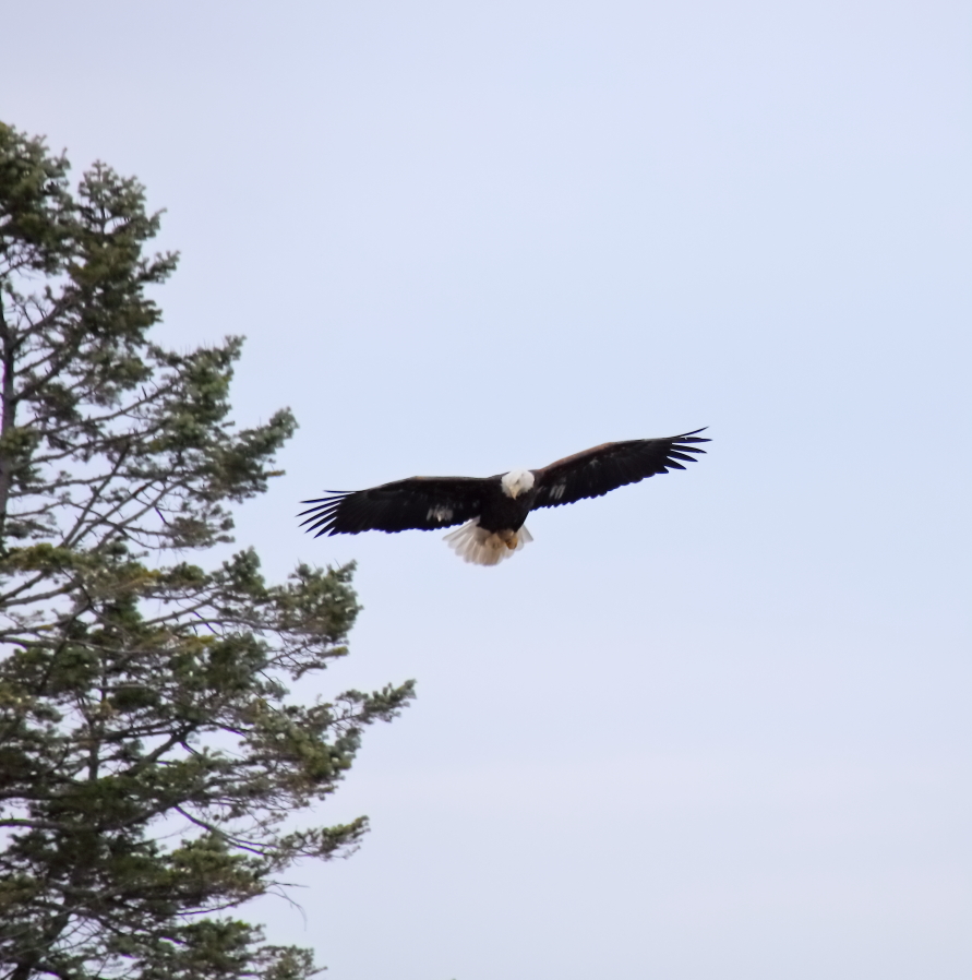 2018 03 01 HTP 87139e